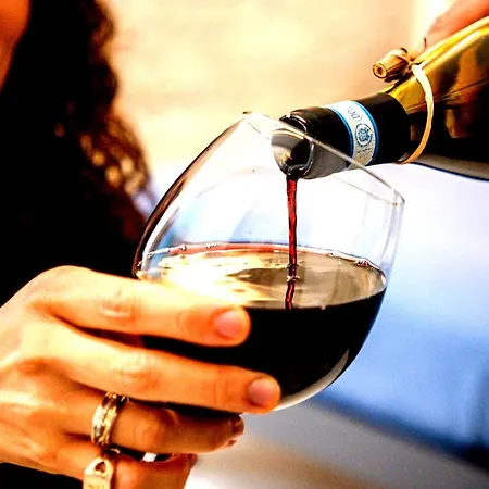 לינה וארוחת בוקר New פסקרה